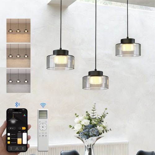 Led pendelleuchte mit - led,